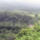 Santa María Chimalapa rechaza fallo del Tribunal Superior Agrario y anuncia defensa legal de su territorio