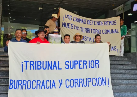 Chimas denuncian devastación de 50 mil hectáreas de selva y se amparan contra sentencia de TSA